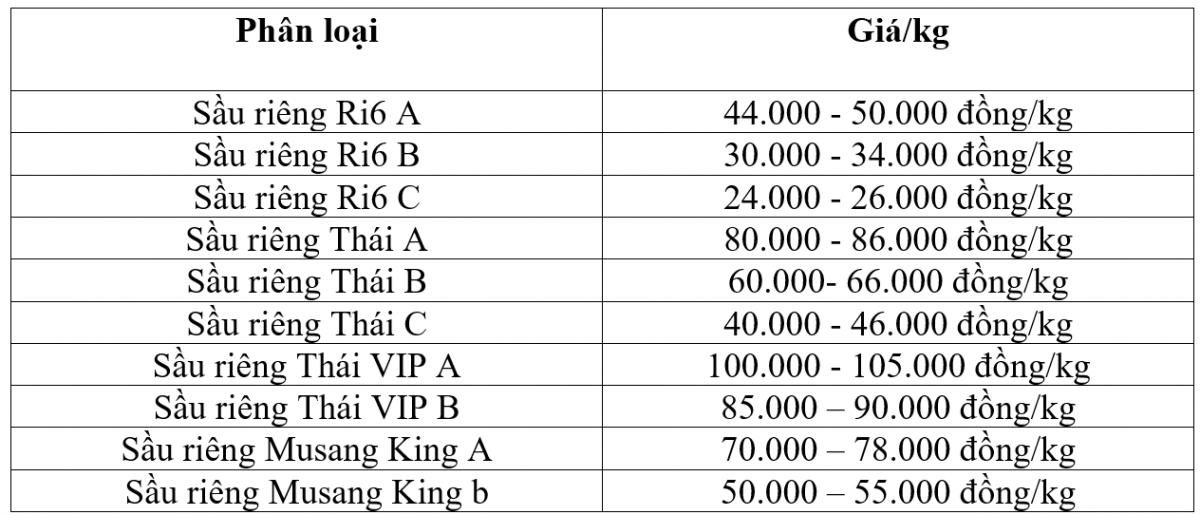 Giá sầu riêng hôm nay 28/8: Giá sầu riêng Thái loại A giữ mức cao nhất 90.000 đồng/kg
