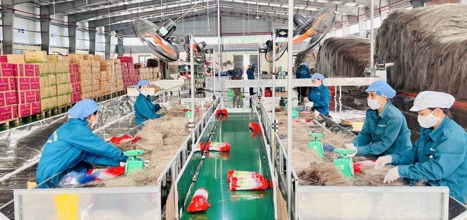 Gỡ vốn cho doanh nghiệp tư nhân để tăng tốc đổi mới máy móc, công nghệ trong kỷ nguyên mới