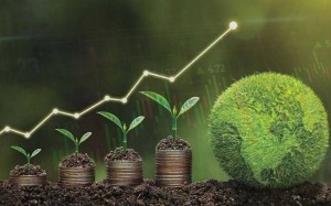 Rào cản khiến doanh nghiệp Việt chưa tiếp cận được nguồn vốn xanh