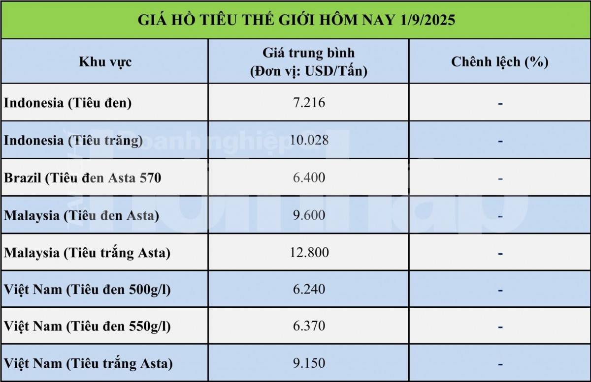 Giá tiêu hôm nay 31/8: Giá tiêu trong nước quay đầu giảm Giá tiêu hôm nay 31/8: Giá tiêu trong nước quay đầu giảm