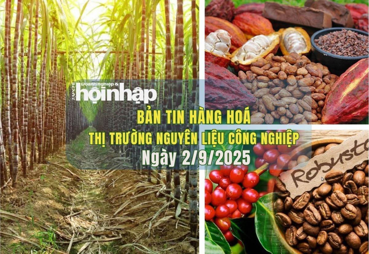 Thị trường nguyên liệu công nghiệp 2/9: Giá cà phê tăng mạnh, ca cao và đường đồng loạt giảm