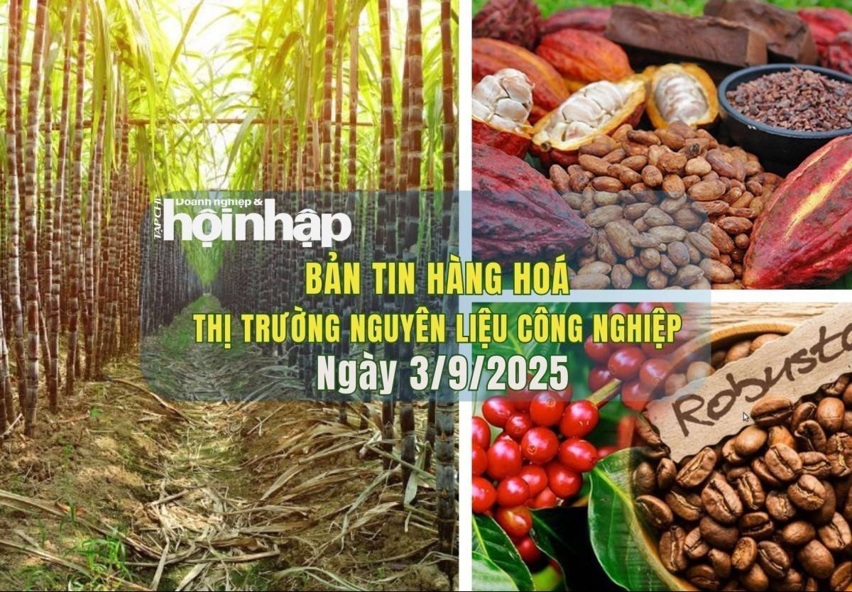 Thị trường nguyên liệu công nghiệp 3/9: Giá cà phê và ca cao giảm trước áp lực thị trường