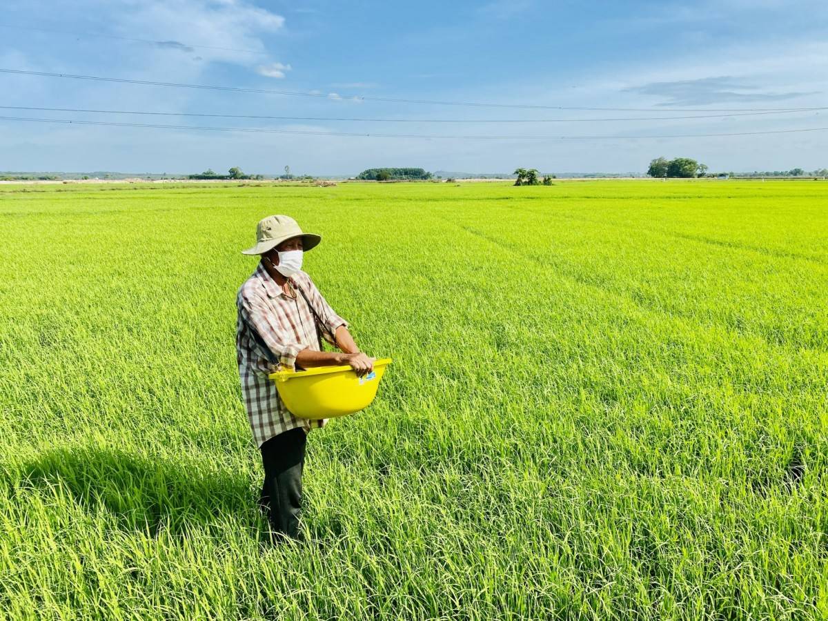 Đề xuất nhiều chính sách miễn thuế sử dụng đất nông nghiệp