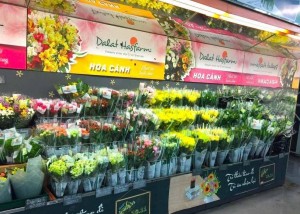 Chuỗi hoa tươi Dalat Hasfarm thâu tóm một doanh nghiệp hoa của Úc
