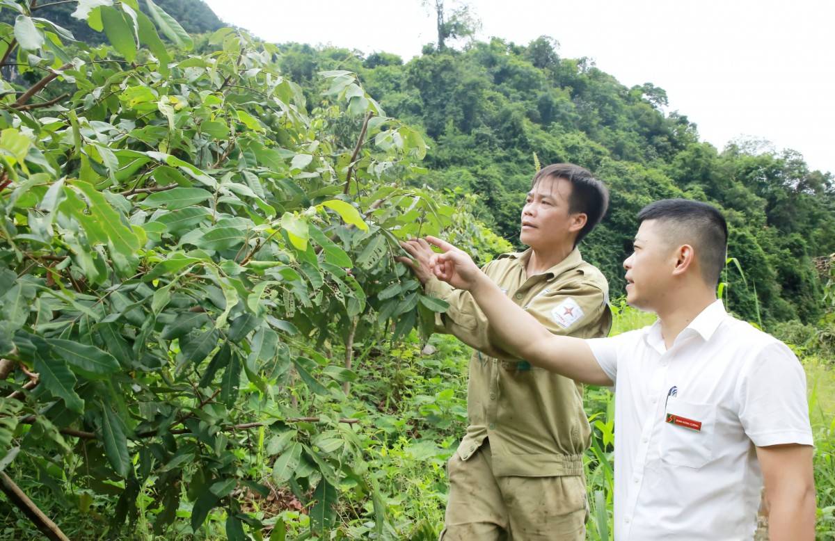 Sơn La: Dòng vốn ngắn hạn tạo “đòn bẩy” cho tăng trưởng kinh tế