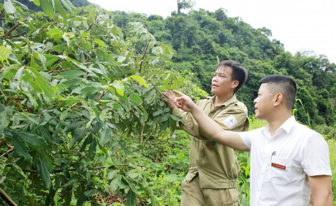 Sơn La: Dòng vốn ngắn hạn tạo “đòn bẩy” cho tăng trưởng kinh tế