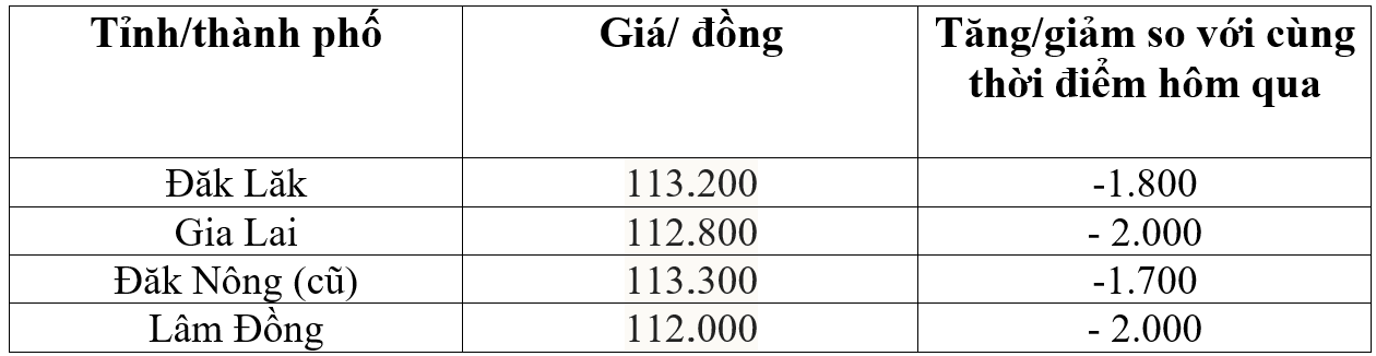 ảng giá cà phê trong nước hôm nay 7/9/2025