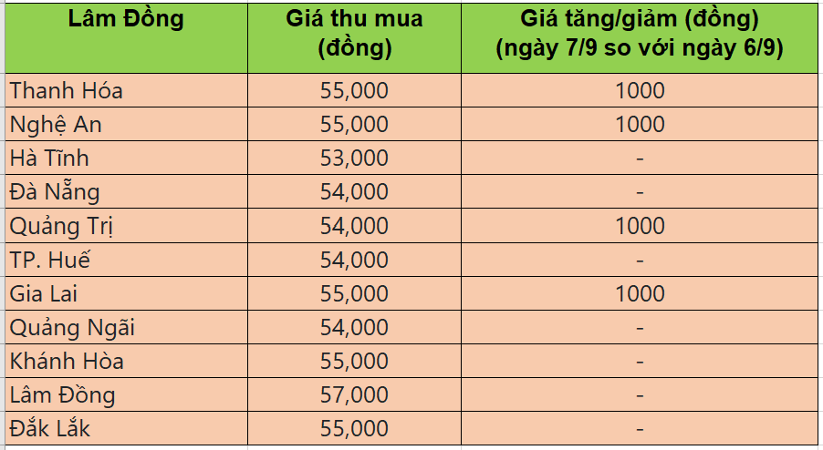 Bảng giá heo hơi tại miền Trung - Tây Nguyên hôm nay 7/9/2025
