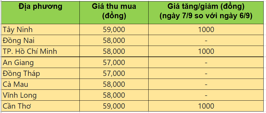 Bảng giá heo hơi tại miền Nam hôm nay 7/9/2025