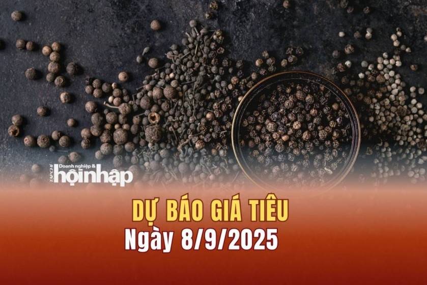Dự báo giá tiêu 8/9: Tiêu trong nước có xu hướng "bật" tăng mạnh