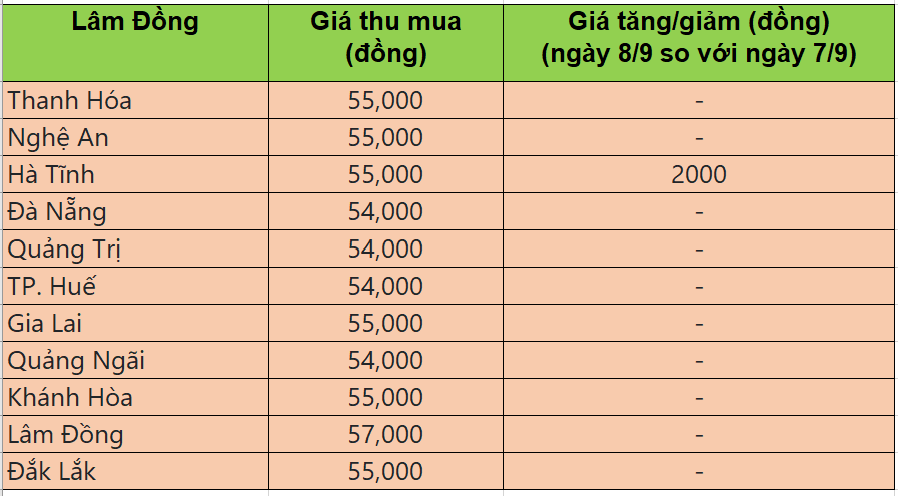 Bảng giá heo hơi tại miền Trung - Tây Nguyên hôm nay 8/9/2025