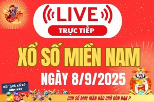TRỰC TIẾP: Kết quả Xổ số miền Nam hôm nay 8/9/2025 - XSMN 8/9 - XSMN thứ Hai cập nhật mới nhất