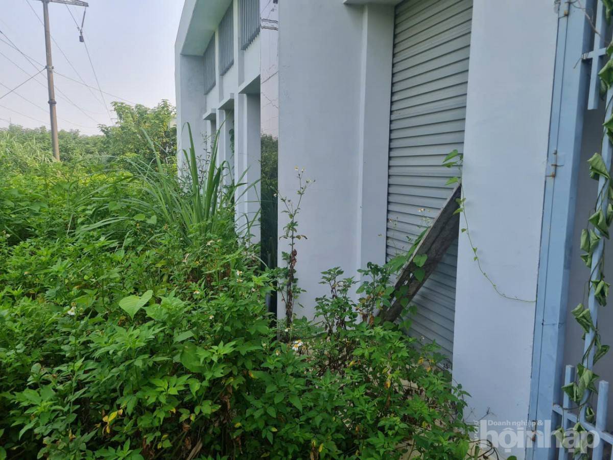 Bài XII: Chợ dân sinh hàng chục tỷ đồng ở Hà Nội bỏ hoang gây lãng phí