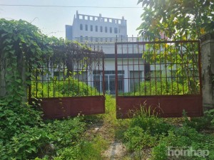 Bài XII: Chợ dân sinh hàng chục tỷ đồng ở Hà Nội bỏ hoang gây lãng phí