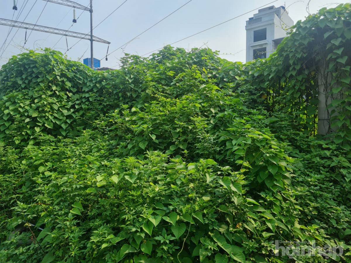 Bài XII: Chợ dân sinh hàng chục tỷ đồng ở Hà Nội bỏ hoang gây lãng phí