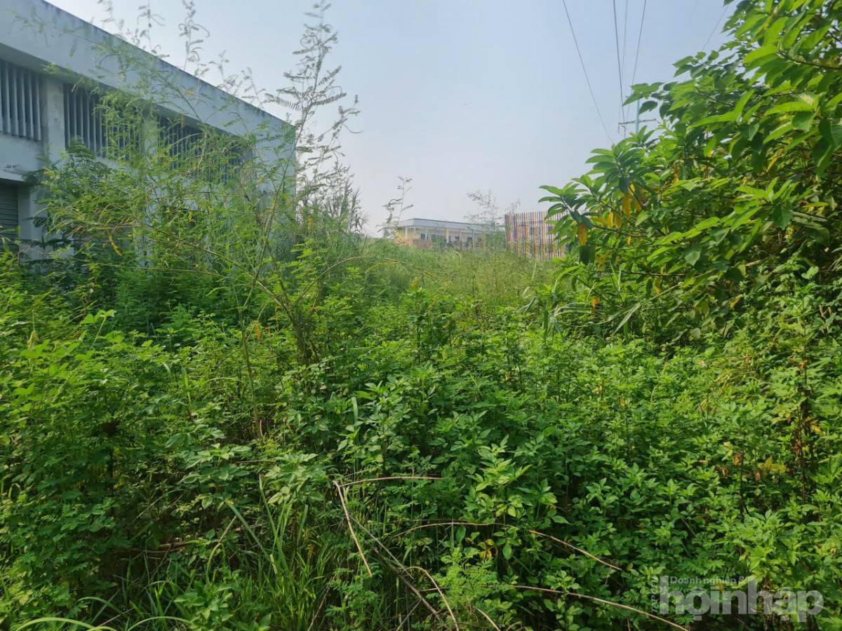 Bài XII: Chợ dân sinh hàng chục tỷ đồng ở Hà Nội bỏ hoang gây lãng phí