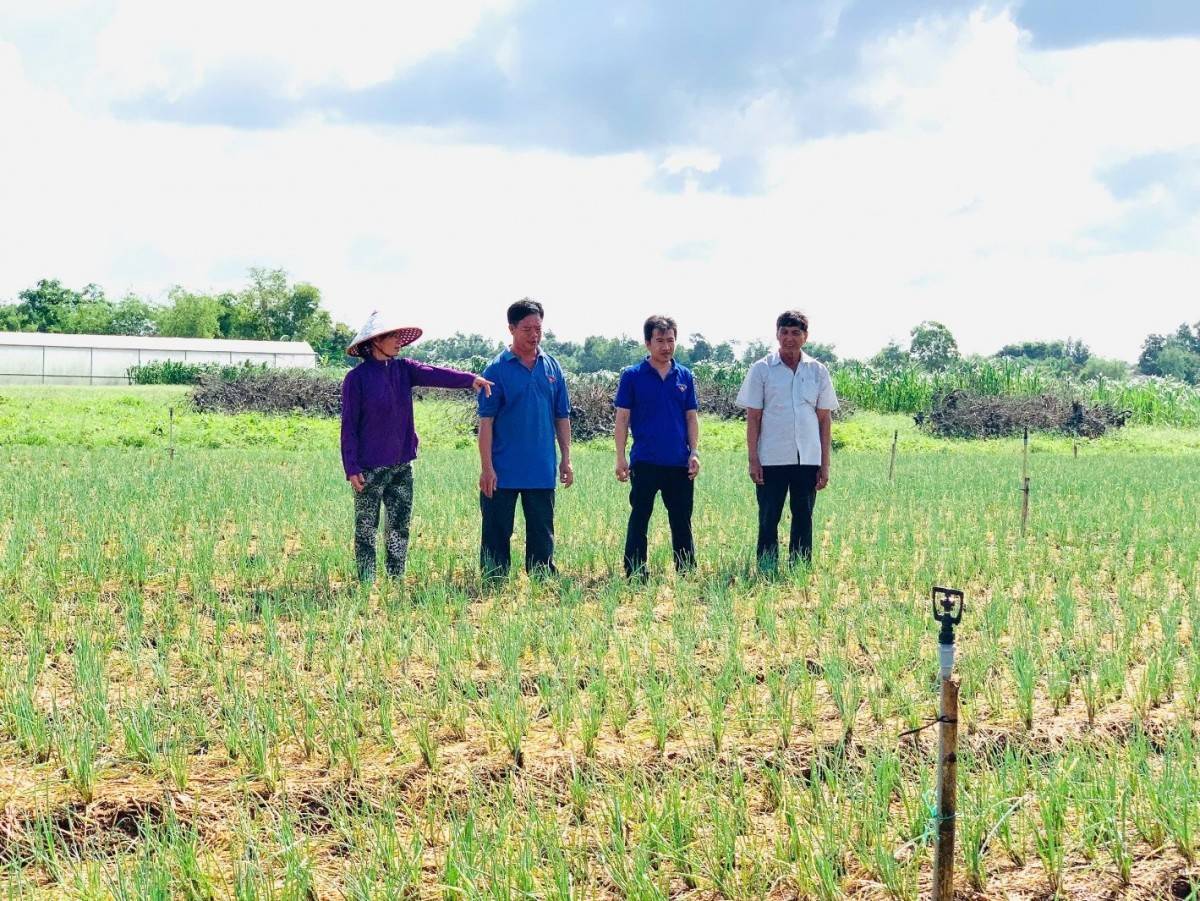 Phong trào “Dân vận khéo” trong lĩnh vực kinh tế đã góp phần đẩy nhanh tốc độ chuyển dịch cơ cấu kinh tế.