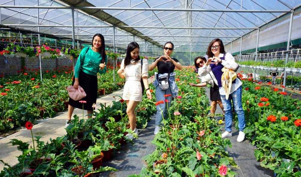 TS. Nguyễn Anh Tuấn: Du lịch nông nghiệp – Tiềm năng lớn, cần tháo gỡ điểm nghẽn TS. Nguyễn Anh Tuấn: Du lịch nông nghiệp – Tiềm năng lớn, cần tháo gỡ điểm nghẽn