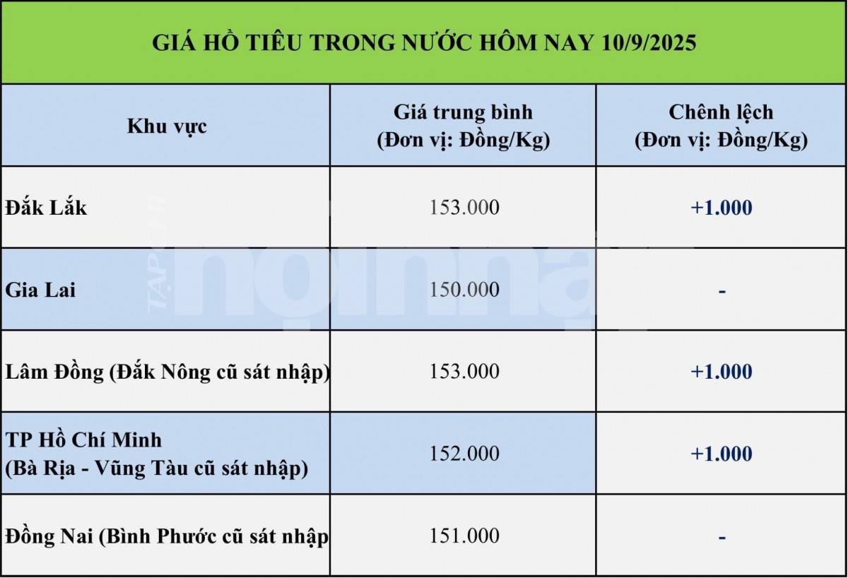 Giá tiêu hôm nay 10/9: