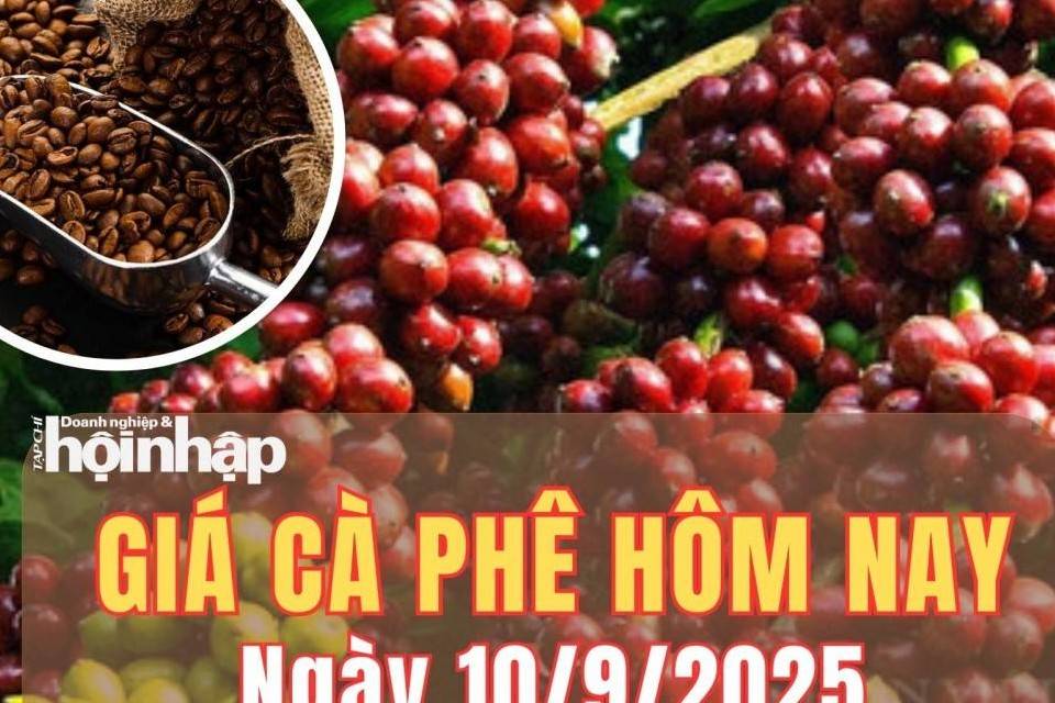 Giá cà phê hôm nay 10/9/2025: Giá cà phê trong nước bật tăng mạnh