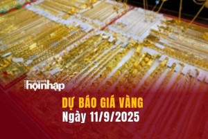 Dự báo giá vàng 11/9: Vàng nhẫn, vàng miếng đảo chiều rớt giá