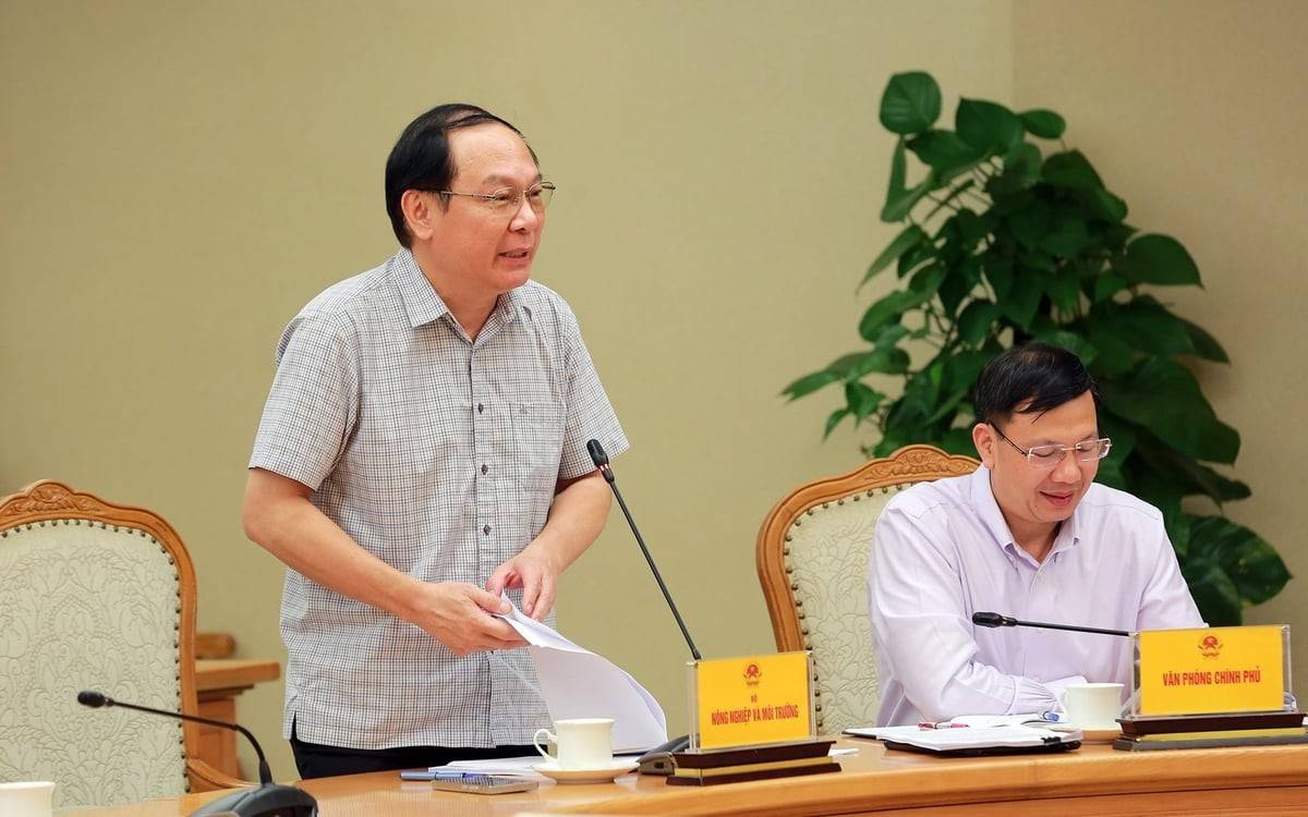 Sàn giao dịch carbon: Cơ hội vàng cho doanh nghiệp Việt