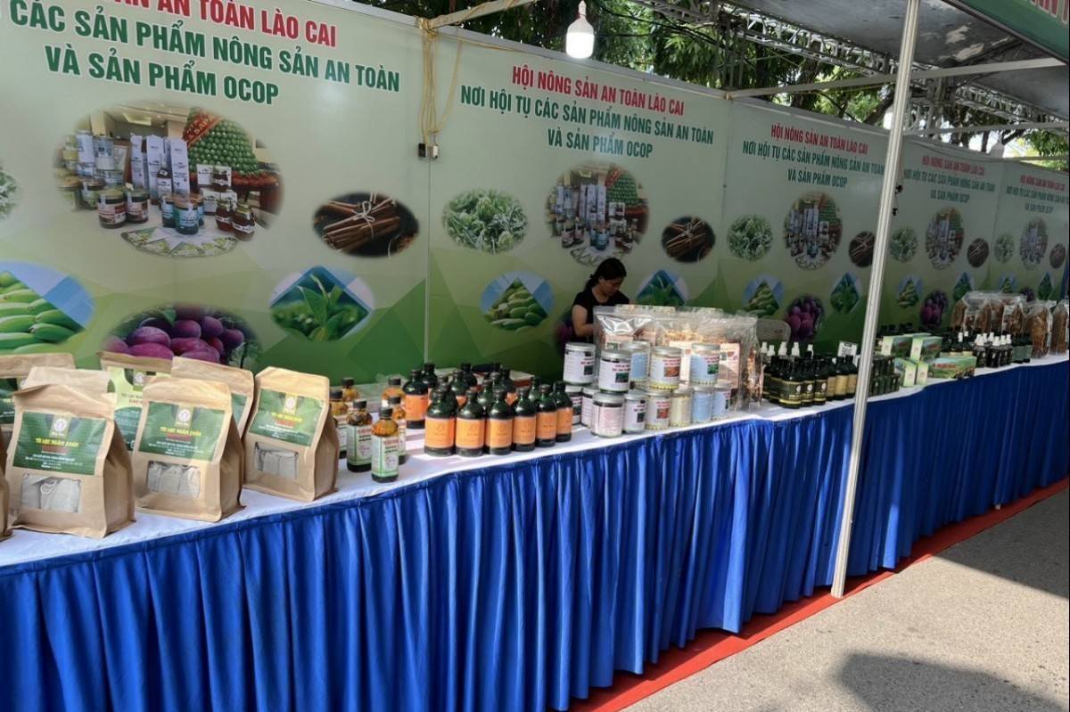 Lào Cai đặt mục tiêu thành lập mới 120 hợp tác xã, 405 tổ hợp tác trong năm 2026