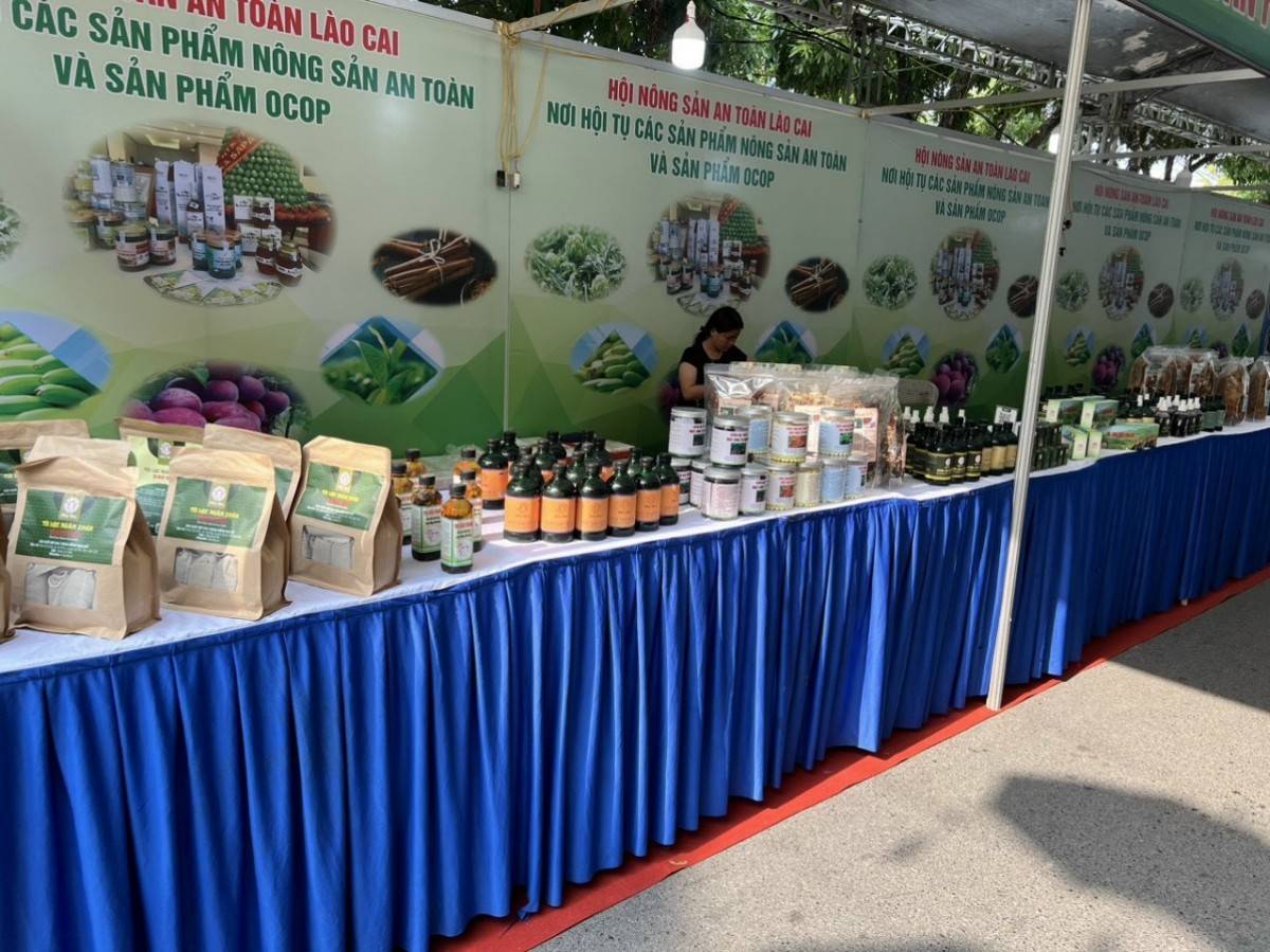 Lào Cai đặt mục tiêu thành lập mới 120 hợp tác xã, 405 tổ hợp tác trong năm 2026 Lào Cai đặt mục tiêu thành lập mới 120 hợp tác xã, 405 tổ hợp tác trong năm 2026
