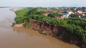 Công bố tình huống khẩn cấp, Phú Thọ chi 7,5 tỷ đồng xử lý sạt lở đê hữu sông Thao