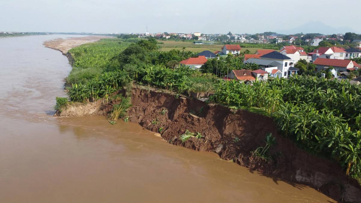 Công bố tình huống khẩn cấp, Phú Thọ chi 7,5 tỷ đồng xử lý sạt lở đê hữu sông Thao Công bố tình huống khẩn cấp, Phú Thọ chi 7,5 tỷ đồng xử lý sạt lở đê hữu sông Thao