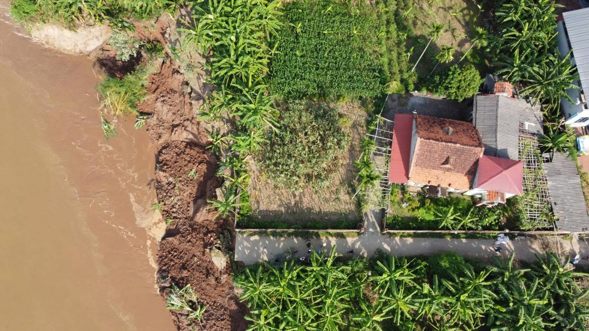 Công bố tình huống khẩn cấp, Phú Thọ chi 7,5 tỷ đồng xử lý sạt lở đê hữu sông Thao Công bố tình huống khẩn cấp, Phú Thọ chi 7,5 tỷ đồng xử lý sạt lở đê hữu sông Thao