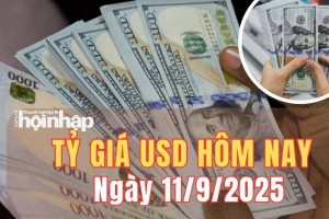 Tỷ giá USD hôm nay 11/9/2025: Đồng USD thiếu xu hướng rõ ràng, thị trường chờ tin CPI Mỹ