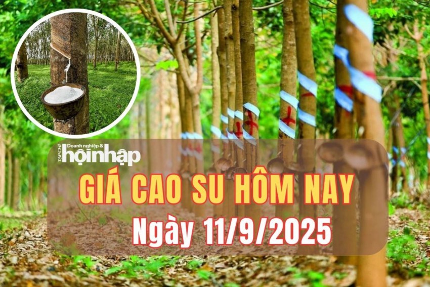 giá cao su