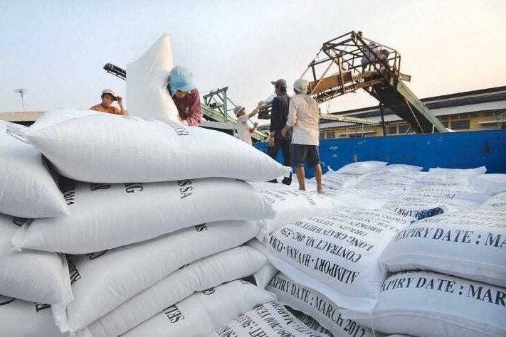 Gạo Việt Nam chinh phục hơn 80 quốc gia, mở rộng sang châu Phi - Trung Đông