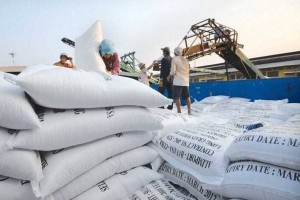 Gạo Việt Nam chinh phục hơn 80 quốc gia, mở rộng sang châu Phi - Trung Đông