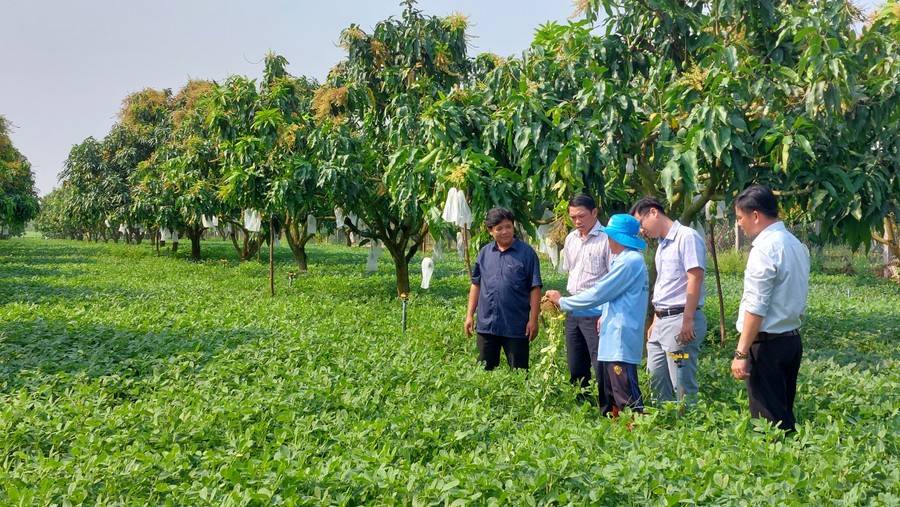 Gia Lai: Chuyển đổi cây trồng kém hiệu quả, mỗi xã chỉ chọn 1-2 cây có lợi thế