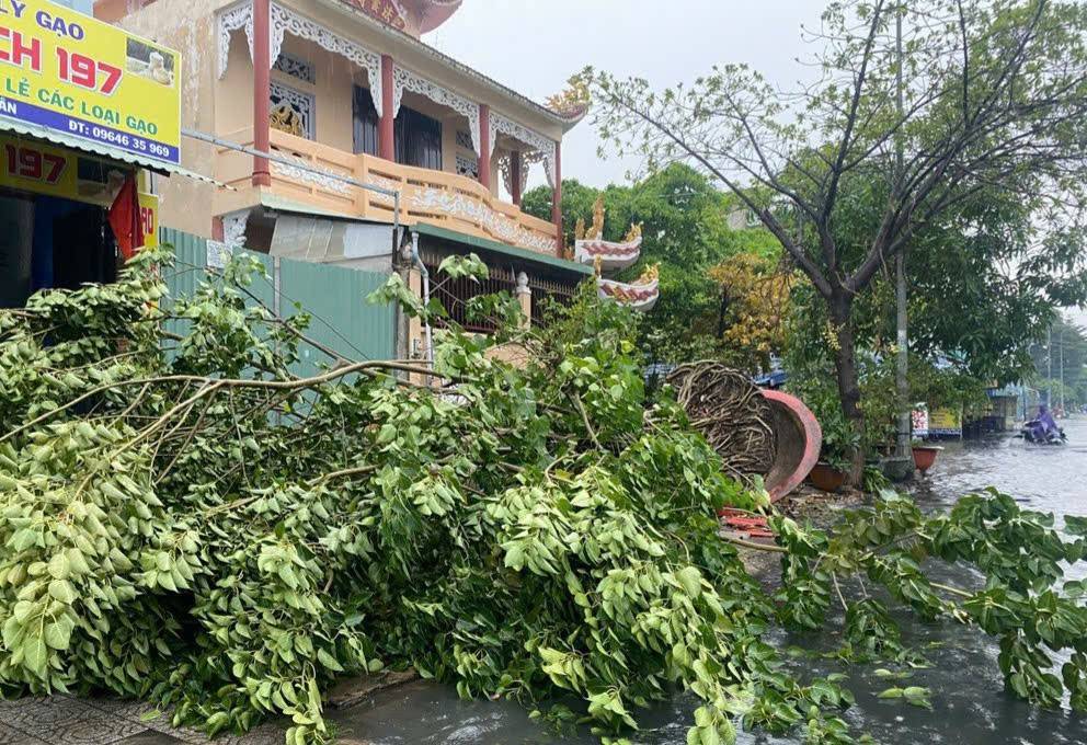 Gió giật mạnh, mưa dữ dội và ngập úng cục bộ tại TP. Hồ Chí Minh