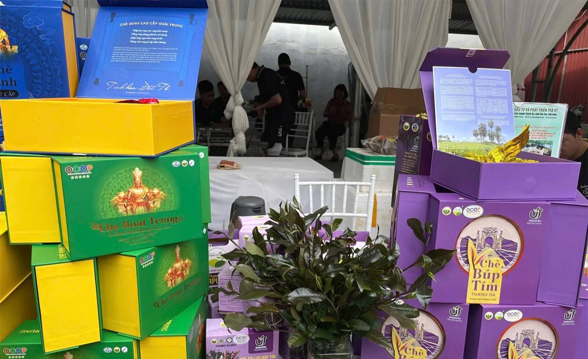 Từ 593 sản phẩm OCOP, Phú Thọ tạo dấu ấn thương hiệu nông thôn Từ 593 sản phẩm OCOP, Phú Thọ tạo dấu ấn thương hiệu nông thôn