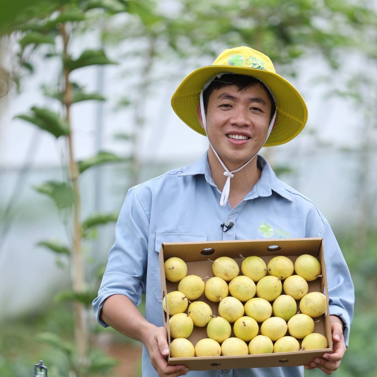 Gắn tên bạn lên cây chanh leo vàng Eden Farm, theo dõi và đợi nhận quả Gắn tên bạn lên cây chanh leo vàng Eden Farm, theo dõi và đợi nhận quả