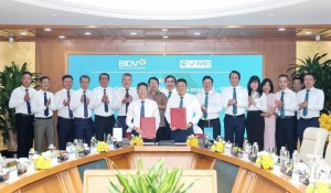 BIDV và VIMC tăng cường hợp tác, thúc đẩy phát triển hoạt động hàng hải