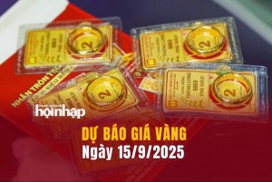 Dự báo giá vàng 15/9: Vàng nhẫn, vàng miếng tiếp tục rớt thang