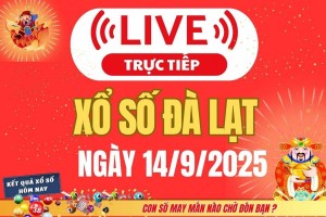 TRỰC TIẾP: Xổ số Đà Lạt hôm nay ngày 14/9/2025 - XSDL 14/9 - Kết quả xổ số Đà Lạt hôm nay
