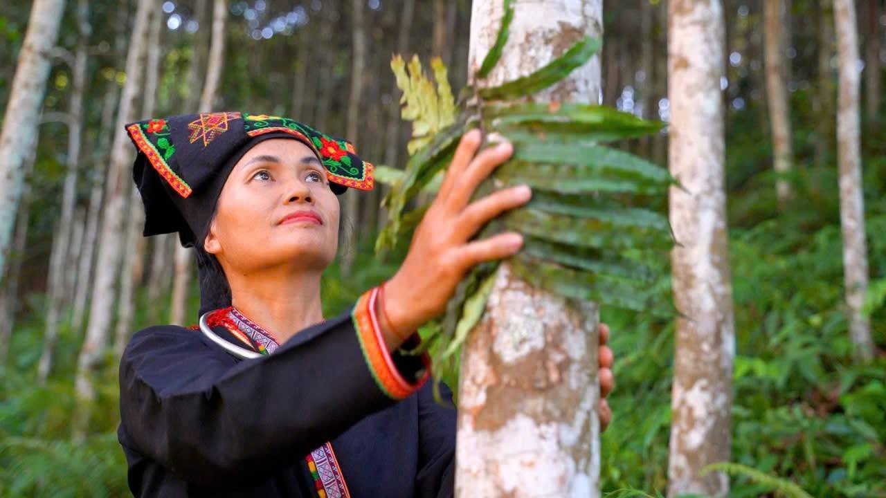 Tân Hợp (Lào Cai) xây dựng quê hương giàu mạnh từ giá trị lịch sử và tinh thần đoàn kết