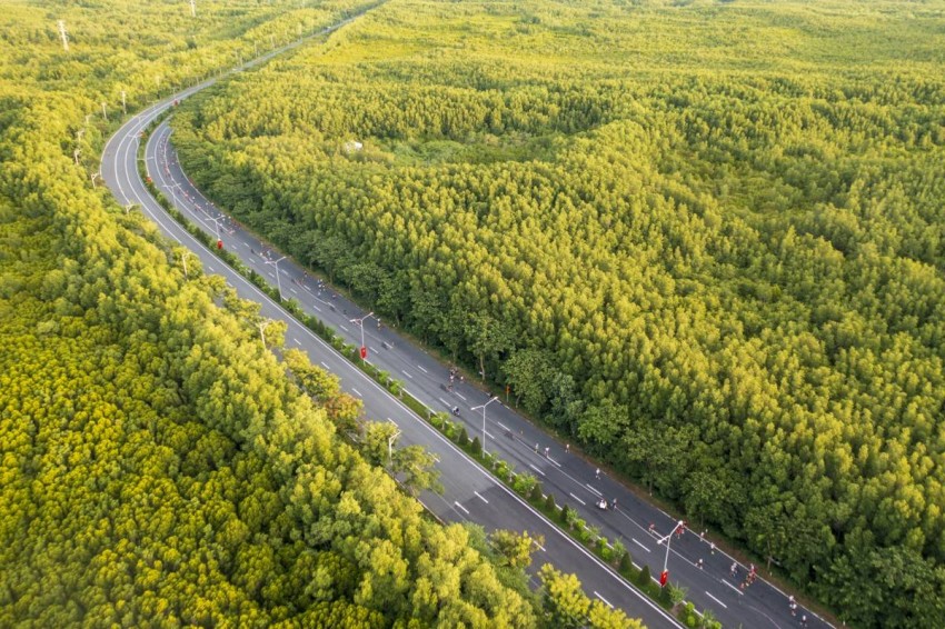 Cung đường marathon uốn lượn giữa rừng ngập mặn xanh mát bất tận Cung đường marathon uốn lượn giữa rừng ngập mặn xanh mát bất tận