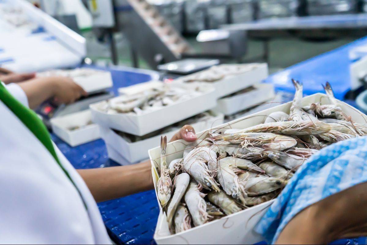 Việt Nam đề nghị Mỹ xem xét lại quyết định bất lợi đối với thủy sản Việt Nam