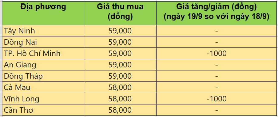 Giá heo hơi hôm nay 19/9/2025: Giá heo hơi giảm nhẹ ở hai miền