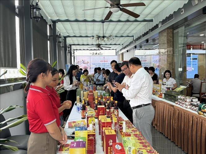 Liên kết thị trường, minh bạch chuỗi cung ứng: Cặp đôi chiến lược cho doanh nghiệp Việt. Ảnh: TTXVN