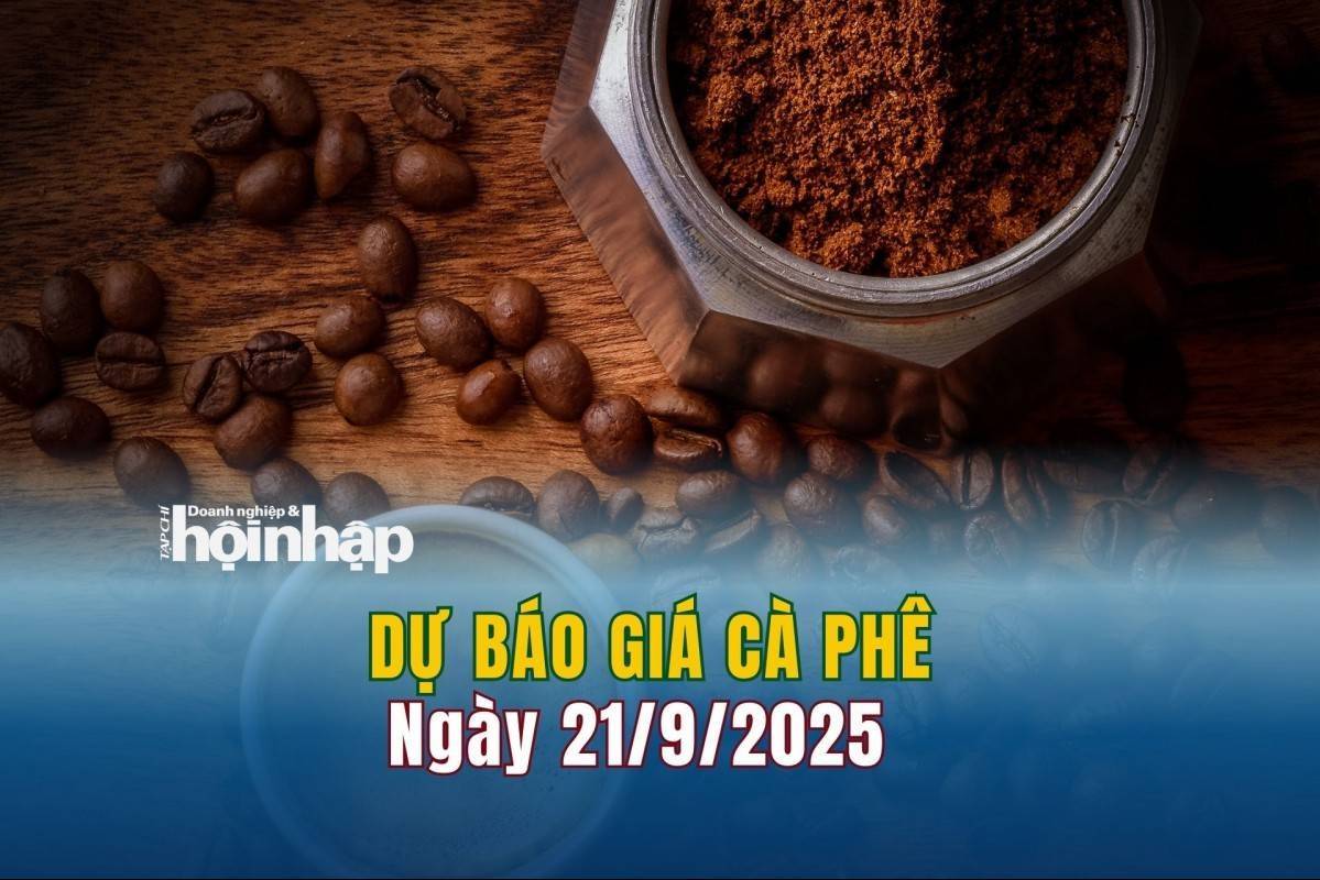 Dự báo giá cà phê 21/9: Giá cà phê trong nước “lao dốc”