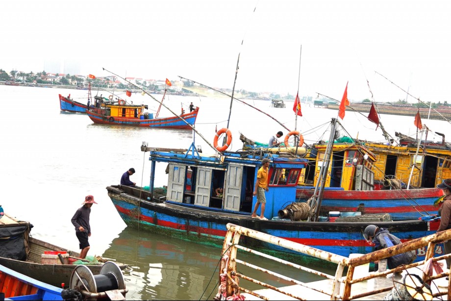 Quảng Trị: Khai thác thủy sản ở Đồng Hới khởi sắc nhưng vẫn còn nhiều trăn trở