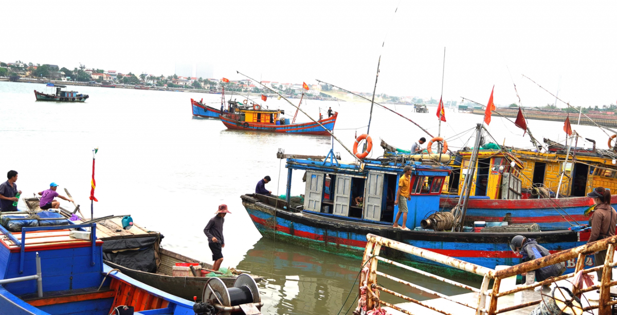 Quảng Trị: Khai thác thủy sản ở Đồng Hới khởi sắc nhưng vẫn còn nhiều trăn trở
